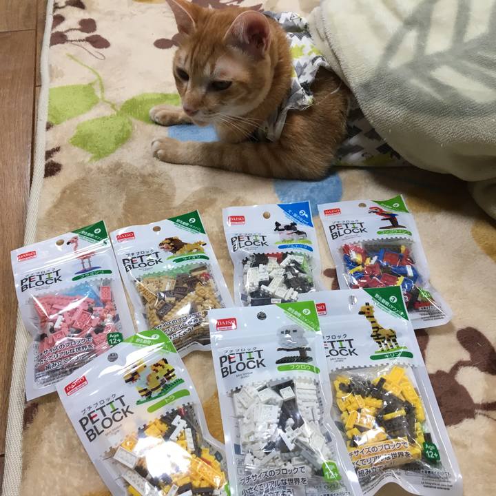 344a5ceb 4b93 417b 9901 f1df8779239f 1511673196767