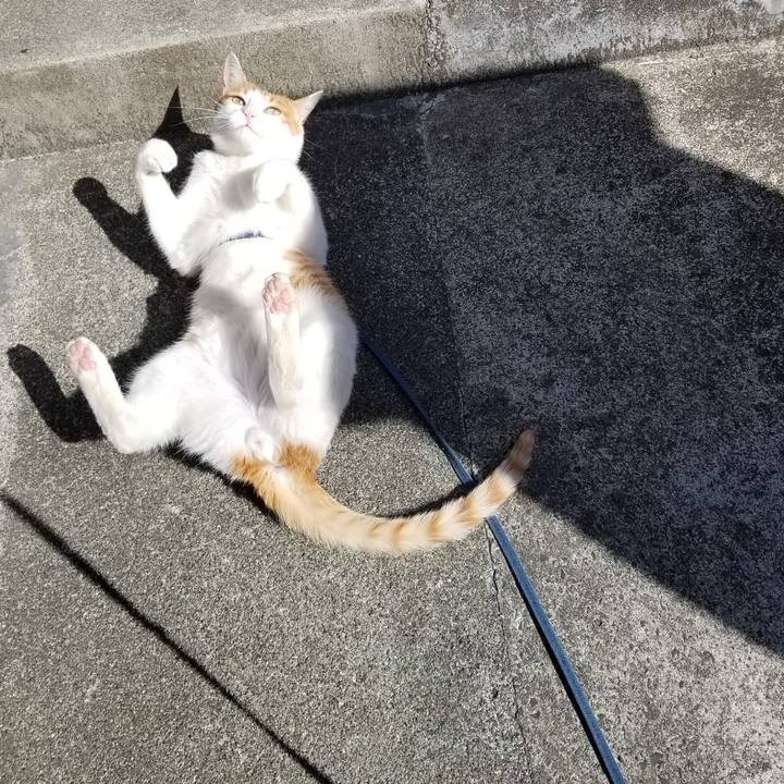 344a7b37 a971 4f09 9183 d5e67b177dff 1521958037770