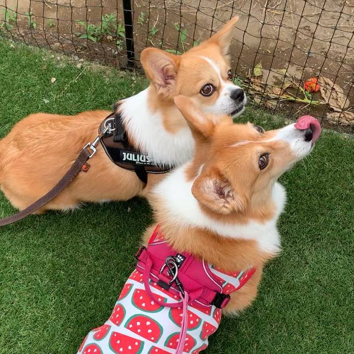 344a9157 ee9e 4aa9 a929 f46c72c0dd49 1661388815639