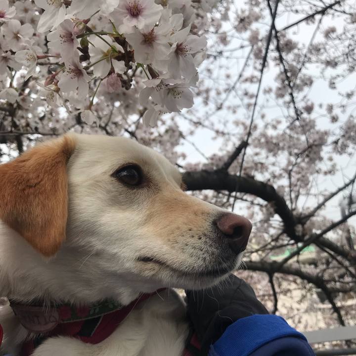 344a987a f7e5 423c bf08 d5003797083e 1554110653255