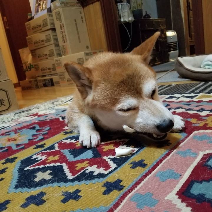 344a9d51 d580 4f5b 8497 32e44353a604 1564310200877