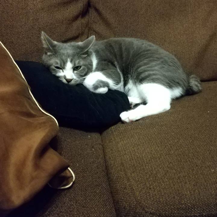 344ac705 8818 4d11 96fb 04b8a2102ab9 1611957407253