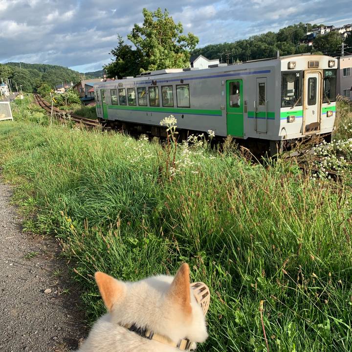 344afc87 2f2c 43f3 962b a201a21fbeb3 1565908115110