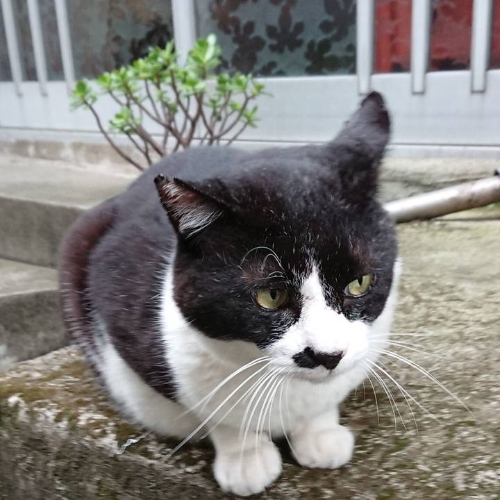 344b1f1b 27d6 4b93 821d 640595b142c2 1526209117463