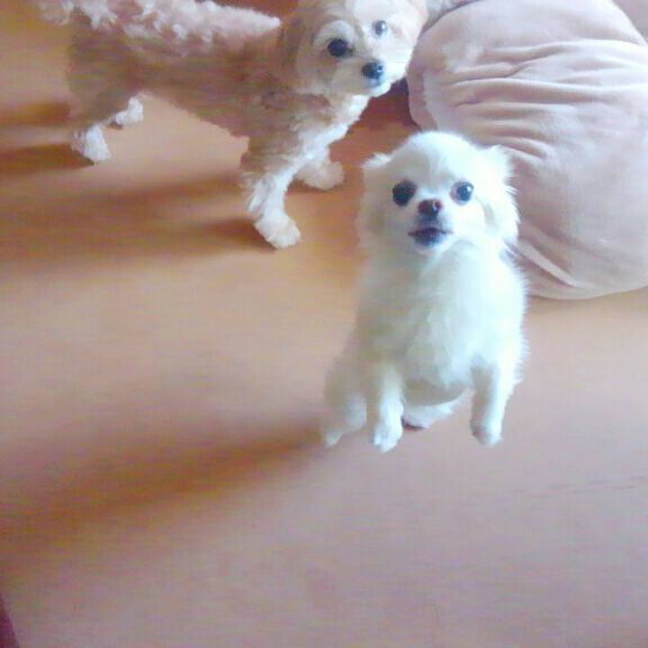 344b357b 17e3 4c6a b6e4 3ff434a9d337 1522296656846