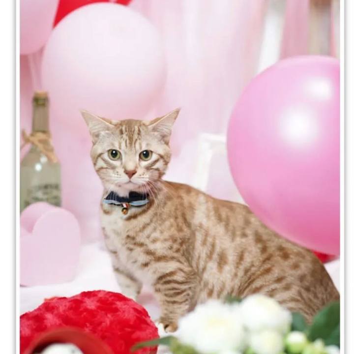 344b3a1d a565 4a88 88bf cf26960368cf 1672310906021