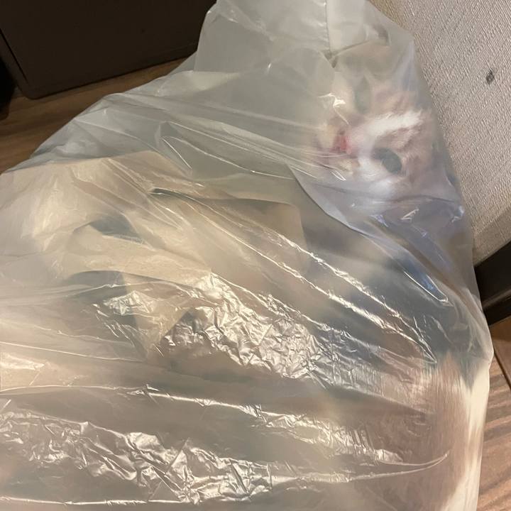 344b488b 5050 47d9 8616 037550972850 1713191858154