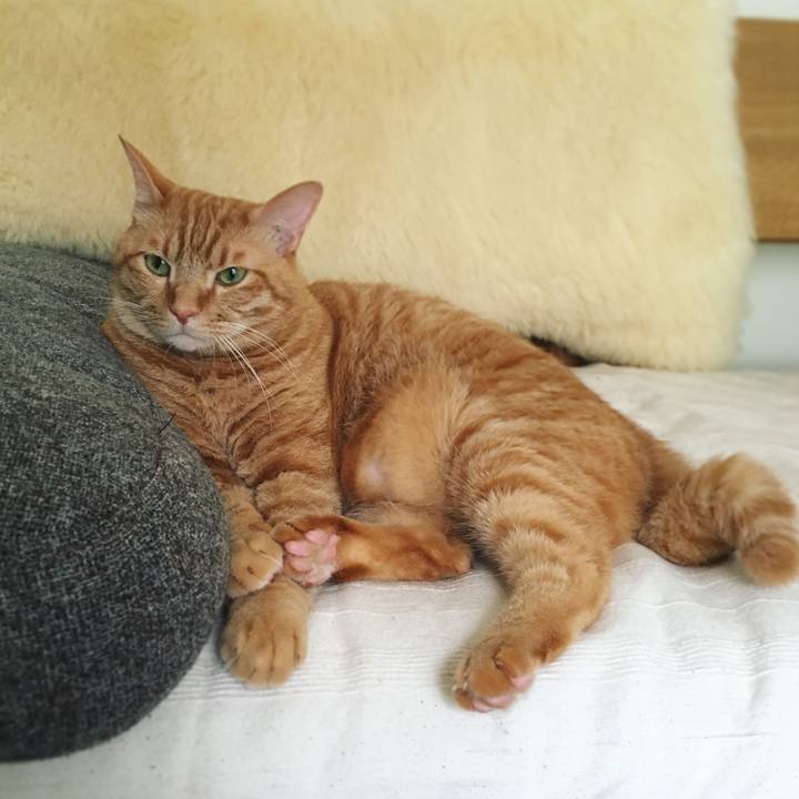 344b5a96 09d9 4dfa bd97 cee55fc64060 1593523141194