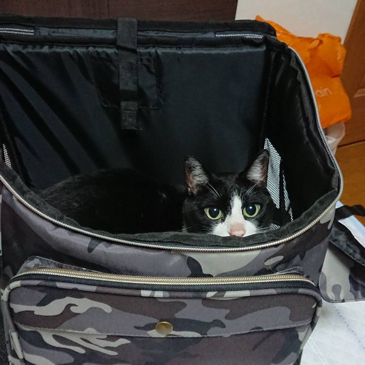 344b6e4d 56be 4089 930e cdf2ffccc606 1658012302726