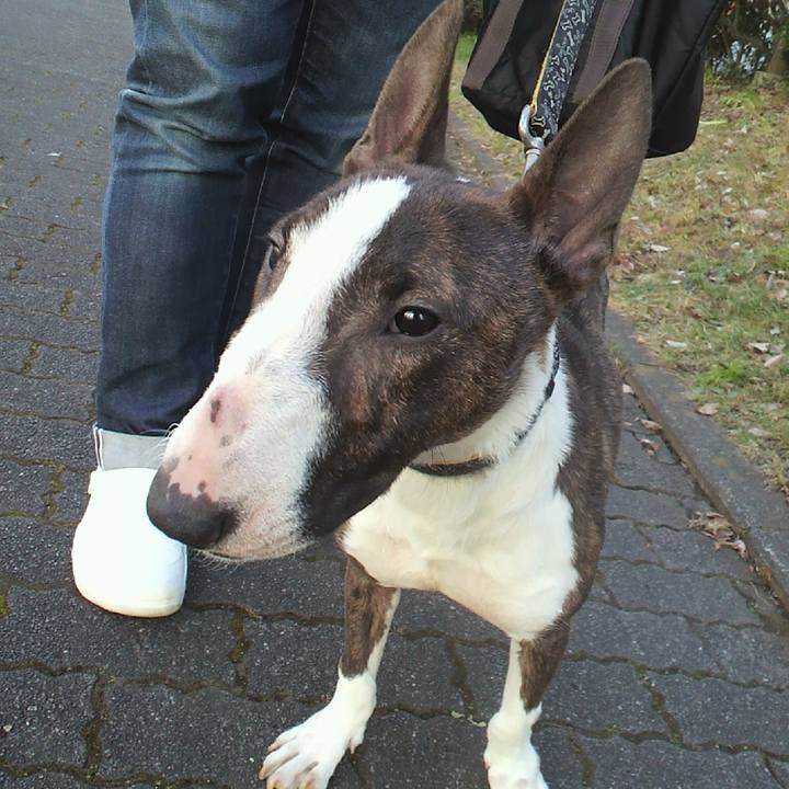 344b7aef 4cd0 4aea b7b9 252574ccf0ad 1578024879855