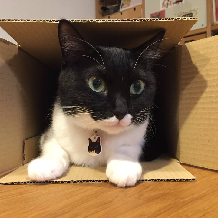 344b7c18 578b 4f92 b9ea cb0ad85a9709 1541993257603