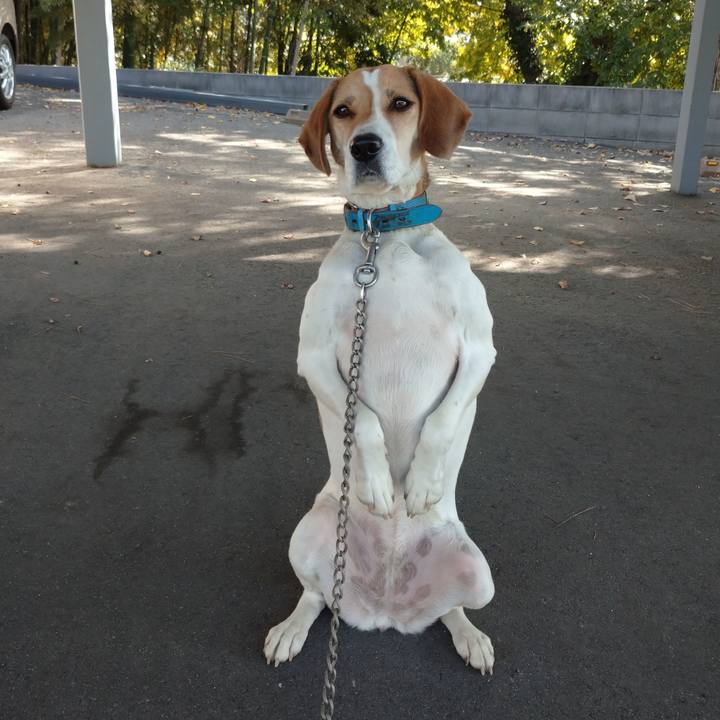 344b86d3 9ee9 48a9 b9af 869c788d3611 1605755284025