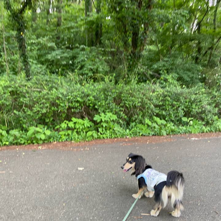 344bc6dd 31aa 46b4 993b f6928b6cc3fa 1715762044062