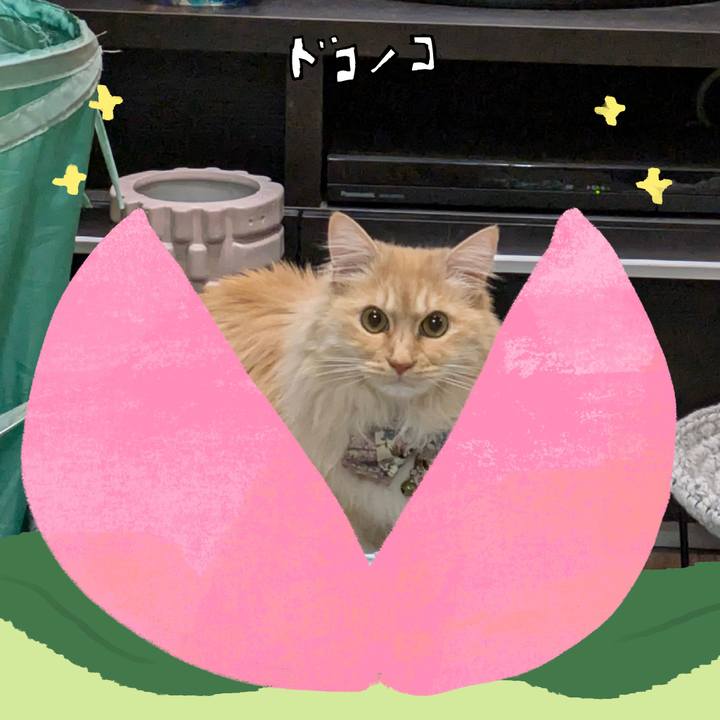 344bc931 e229 43d4 9e51 a24b75ff7aa5 1771851697524