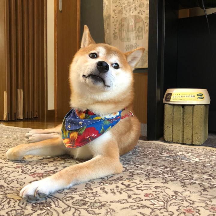 344bd095 07e5 45d2 b250 c1b82adef519 1537444477433