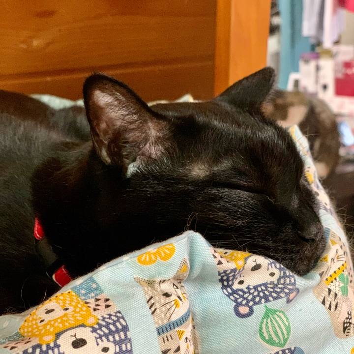 344bd614 a464 4a93 beff 17bfc7d3c94d 1672880591121