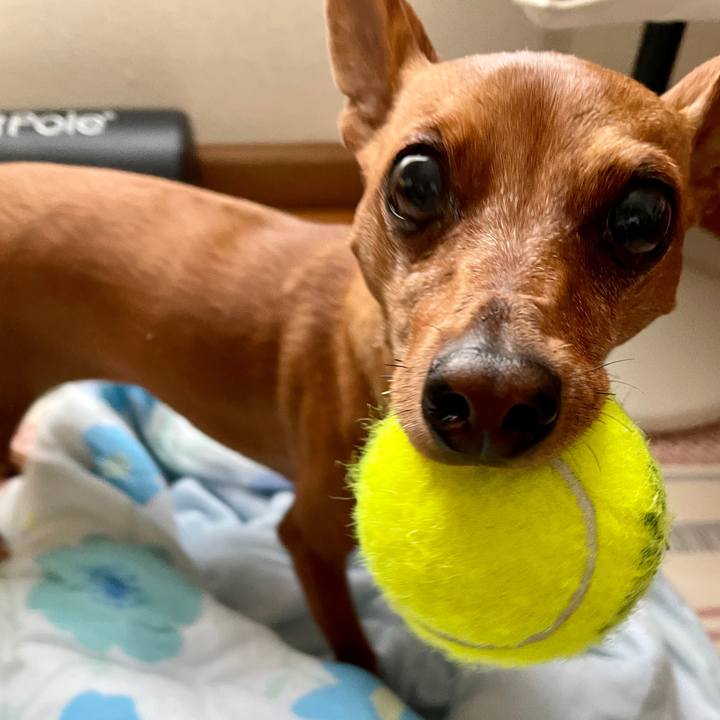 344be7ce f8b6 4512 bb0e f4a31bf04c67 1657870868638