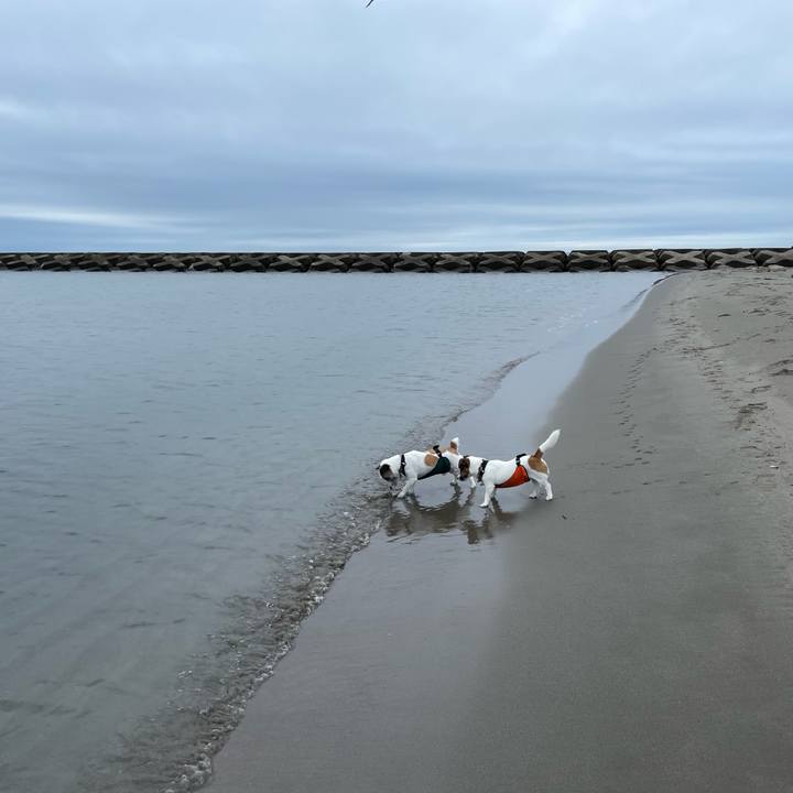 344cf97f d1d3 4629 8197 7d7c38a93191 1687479607641