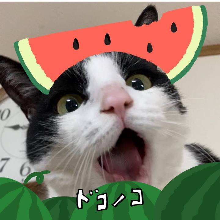 344d0c02 4f45 4a76 b07a d71966ddce26 1720824947378