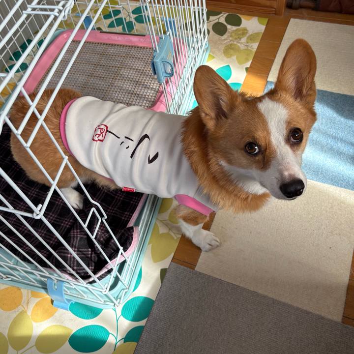 344d118b 6675 4bbb bac6 7f62c470879b 1772164513460