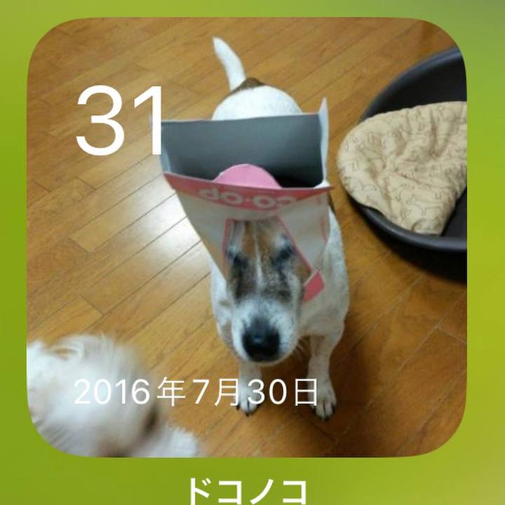 344d44ad 6f65 4599 a842 7f9e05ee75a7 1690807134383