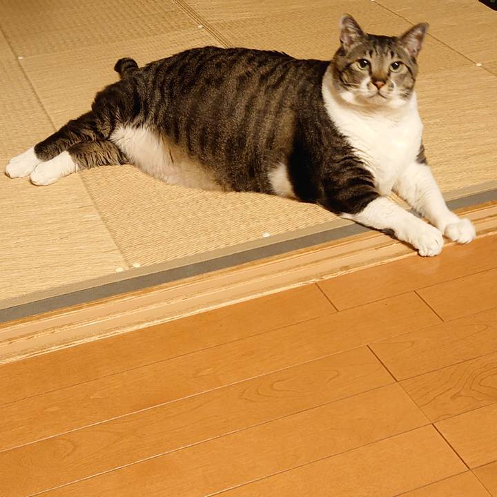 344d6e73 5b5b 4acd a00b c2a7e170566c 1612573300872