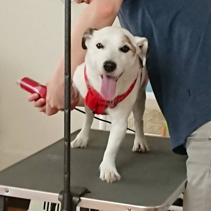 344da35a eb39 44e7 b469 fbe5dbb00aba 1534720719236