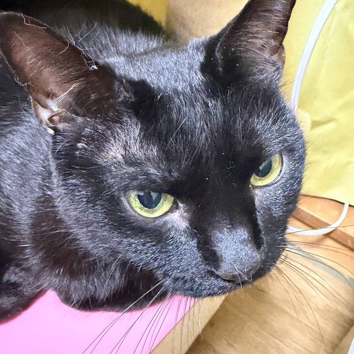 344def08 2586 4dfb a5ea ae0fe54b0883 1770563367617