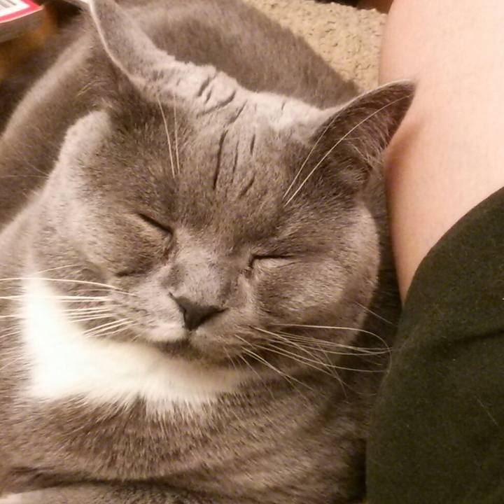 344df40f d4f2 4a9e 9328 cdc0c37a9f06 1581820574408