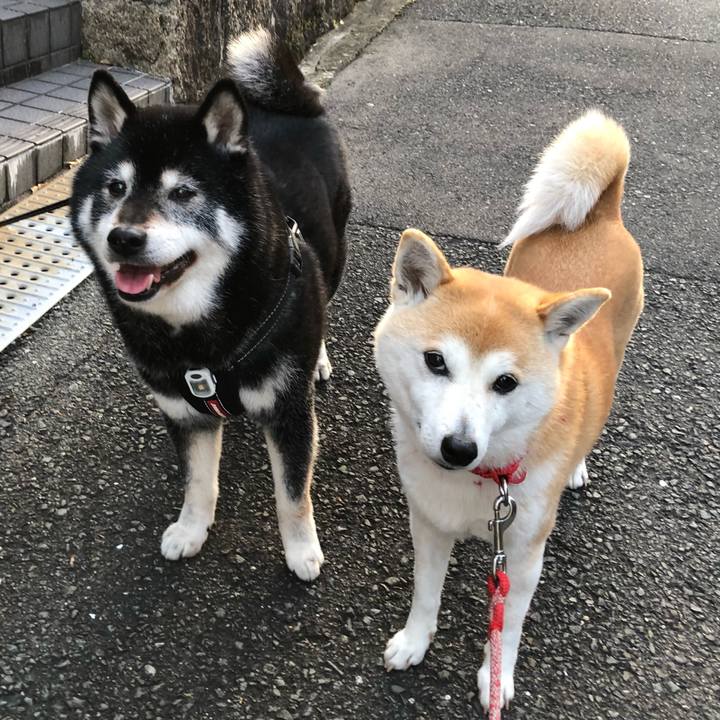 344e2053 3d02 400c 99d9 4bca3705bb7d 1647307745116