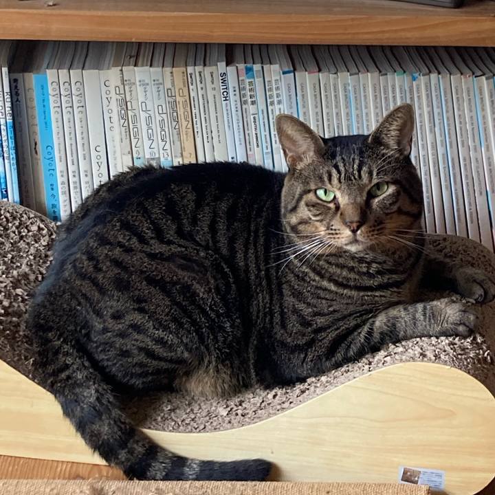 344e38d5 7174 4ce1 97fa e580409633a6 1726360231992