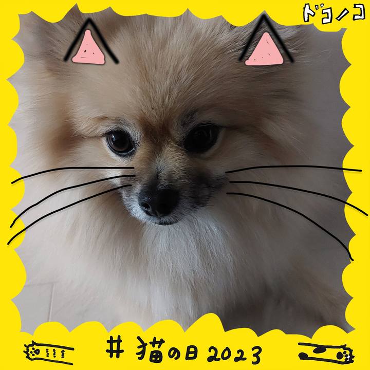 344e6621 9b3d 45df bd4c b2189f259790 1677028714584