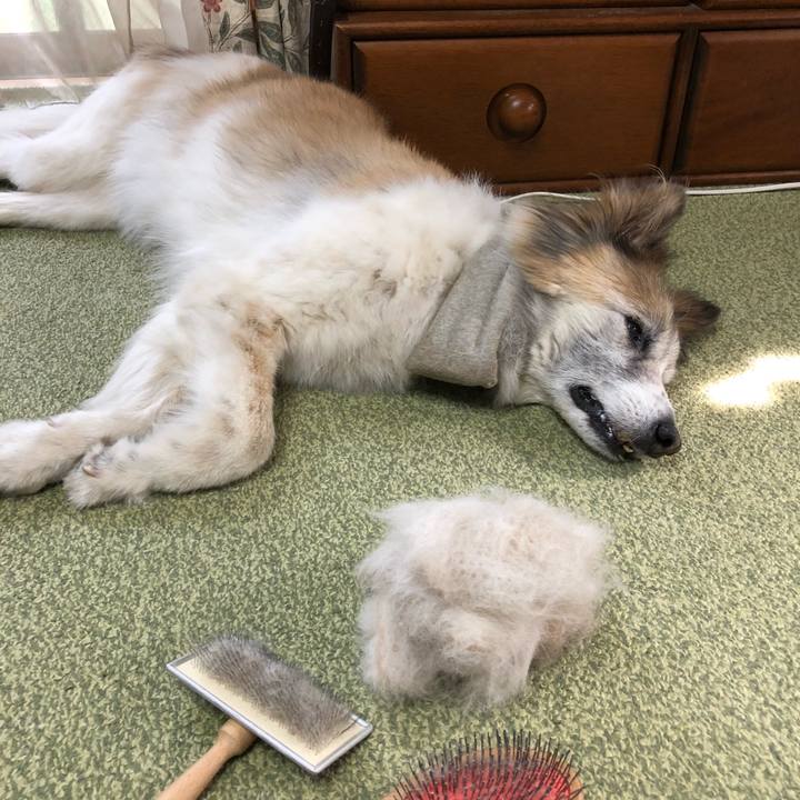 344e94be 22aa 43ea 865f dd71b8795e7c 1531723836278