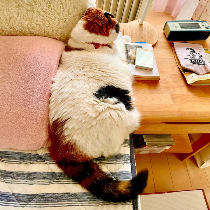 344ec3e3 7f99 492b b0b3 e3423d3ded96 1642988044349