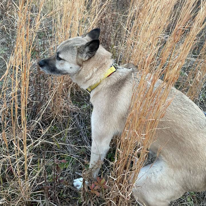 344edfe9 b639 4dd7 af38 3c08bbd3b13b 1646222130496