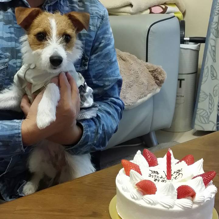 344f19c3 db56 4380 82de d536c6ab8966 1511862915933