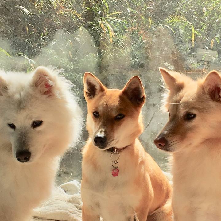 344f9579 5028 4c16 aad6 4ef23d119b85 1550337008082