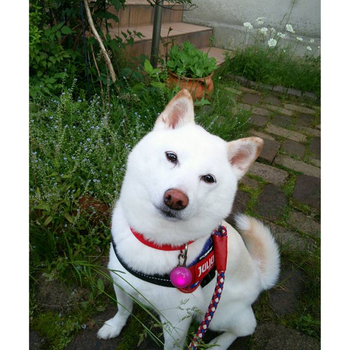 344fba8c 15e0 4788 b2d7 9351ddac44d9 1622453485025