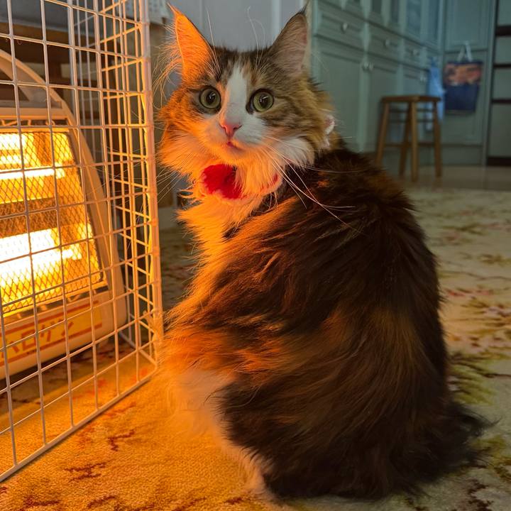 344fbce7 8ff1 4718 92e2 ec338c04127d 1765684286408