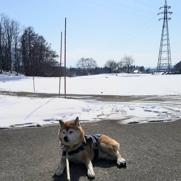 344fe6ba 9cef 4f23 8beb 9a24734e6913 1674443148252