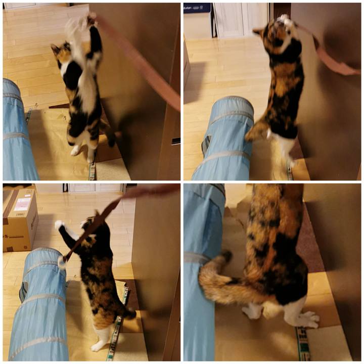 344fe75a 5bad 4544 9105 724a2237d351 1670047619407