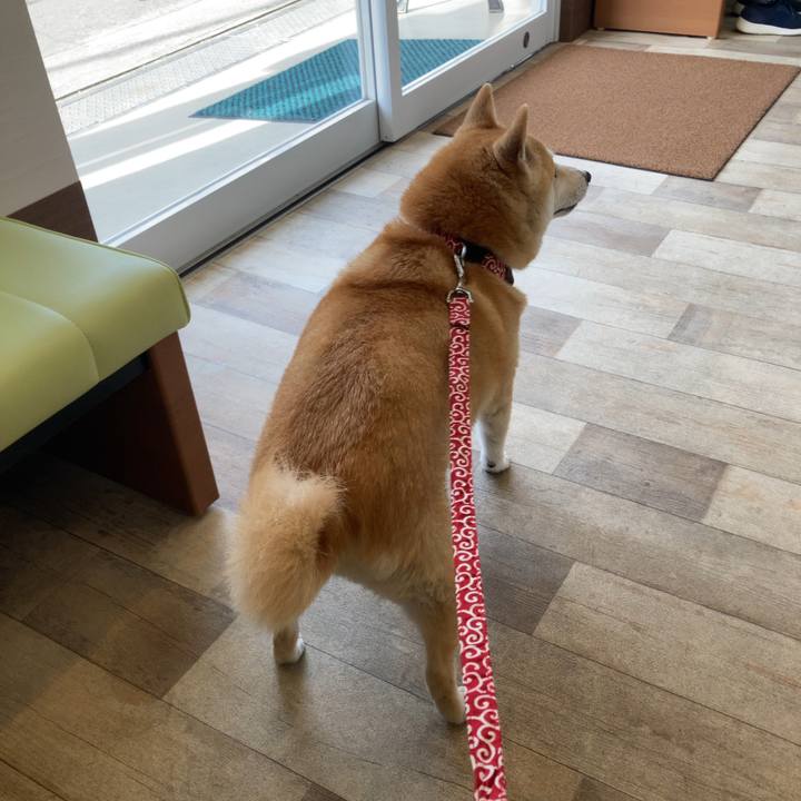 344ff322 c5c3 47dd 9df7 dd603eb07c80 1634634426147