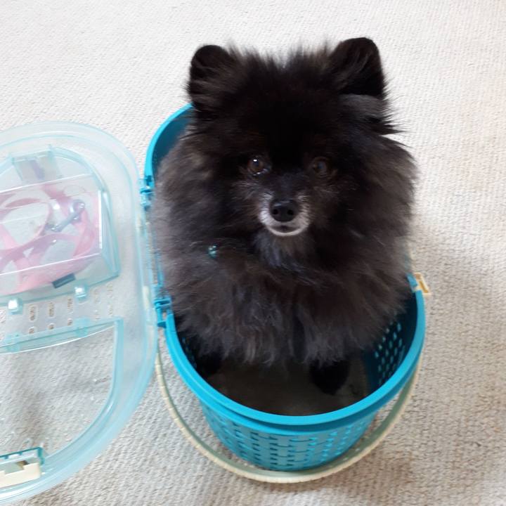 344ffa80 b6e3 4bc3 8668 05ed304fd52a 1563202474760