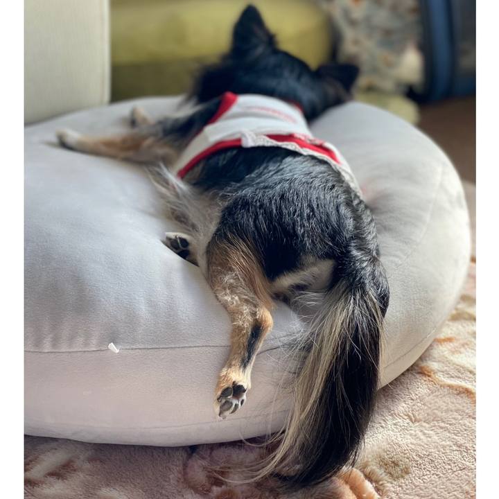 345011ea 2285 424c 9d07 903b0cb290e6 1641954458668