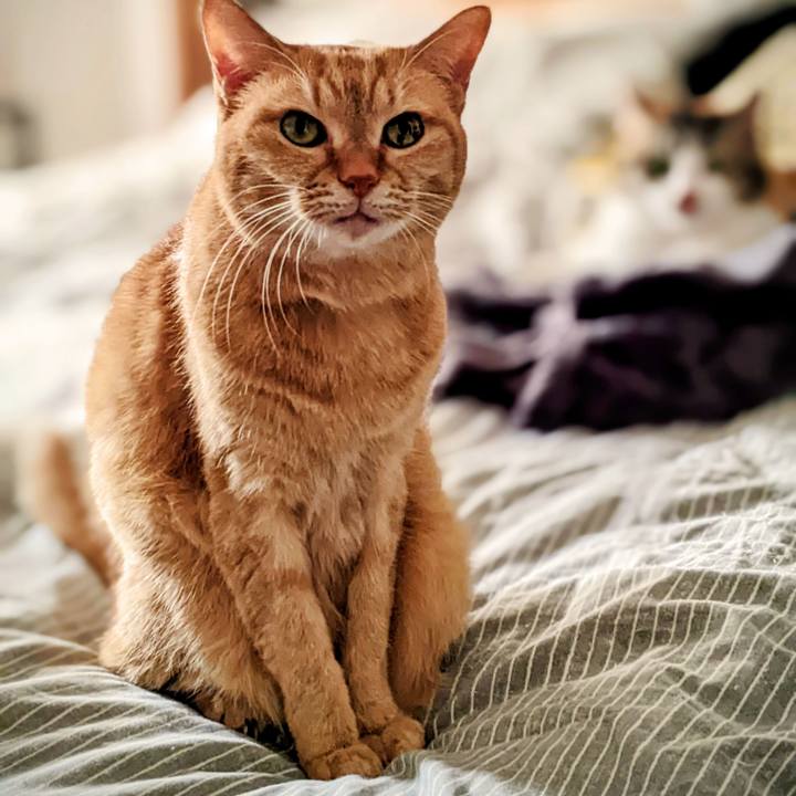 34501346 1c6f 4c9b 9534 76efe4819eff 1771054992205