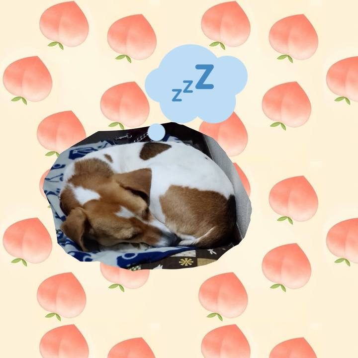 345059b6 7bcf 4021 8c13 d0bffc21ad36 1587048015377