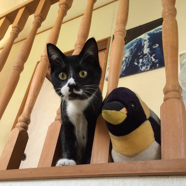 34509363 1d38 4af6 bc96 65098f256a03 1510286176110