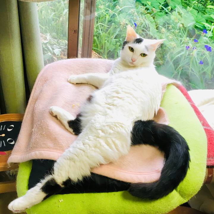 3450c2f9 7c75 4751 820b 274cf93909d8 1561344592953