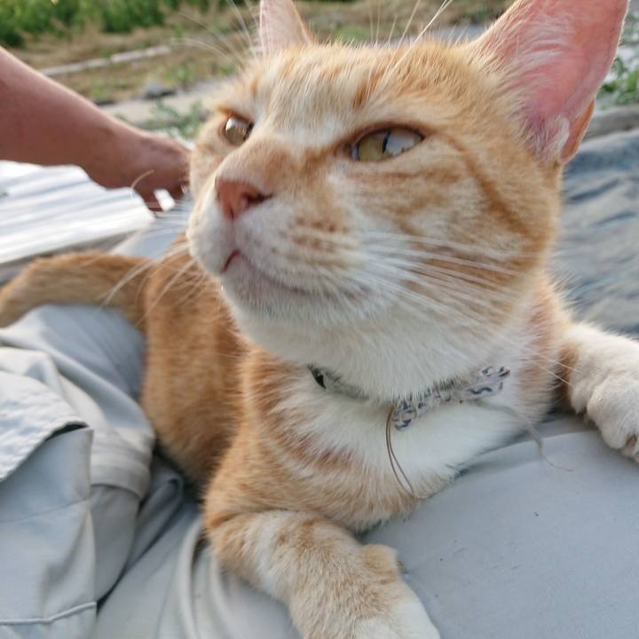 34510f44 3485 4632 994f 972f96d3f37b 1592213806870