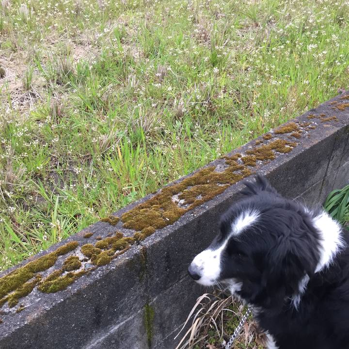 345136c3 bfc5 4fc9 9b9a f931272f84c5 1583537674224